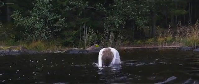 eili harboe – thelma