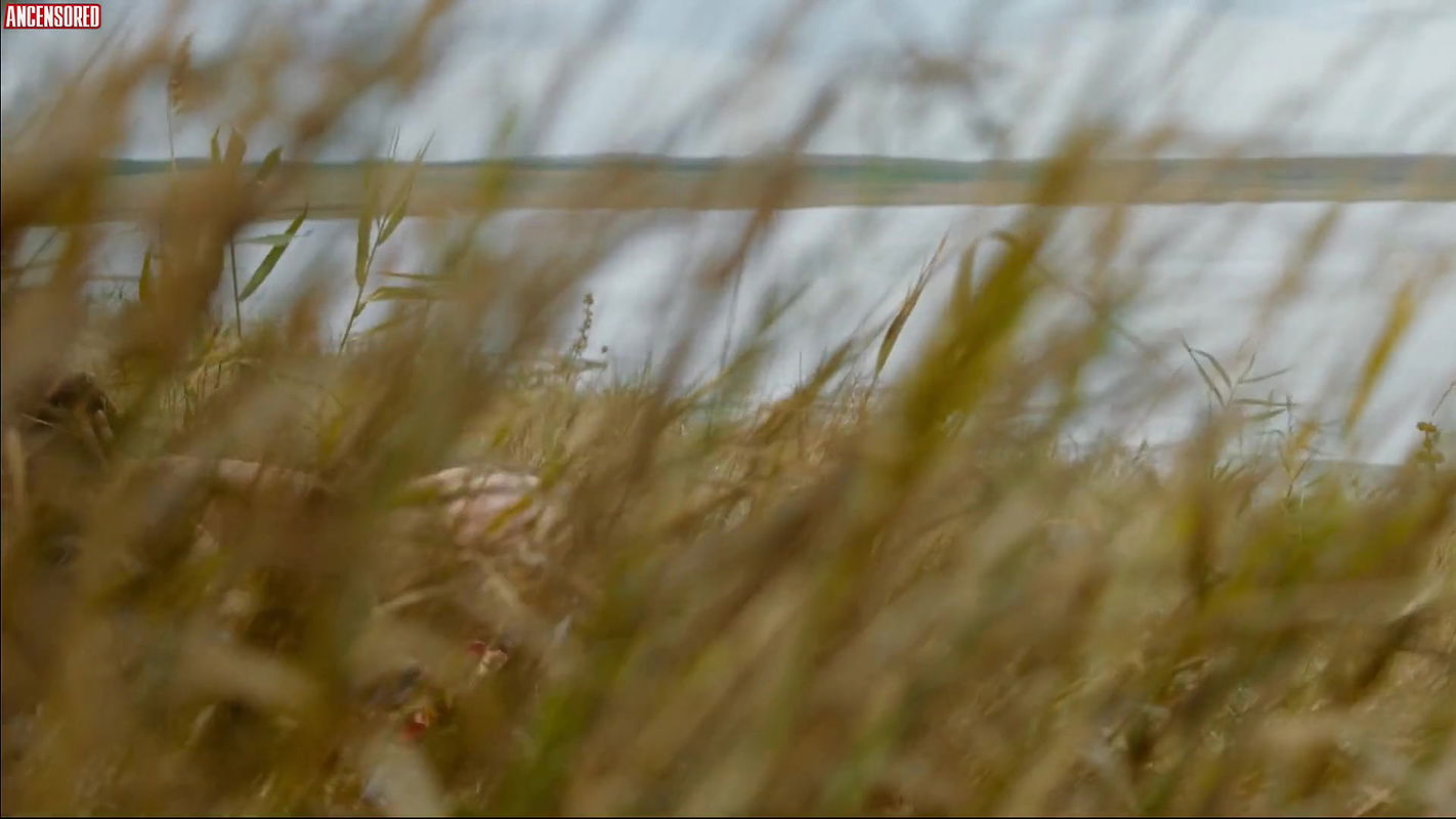 ekaterina molokhovskaya – seaguls