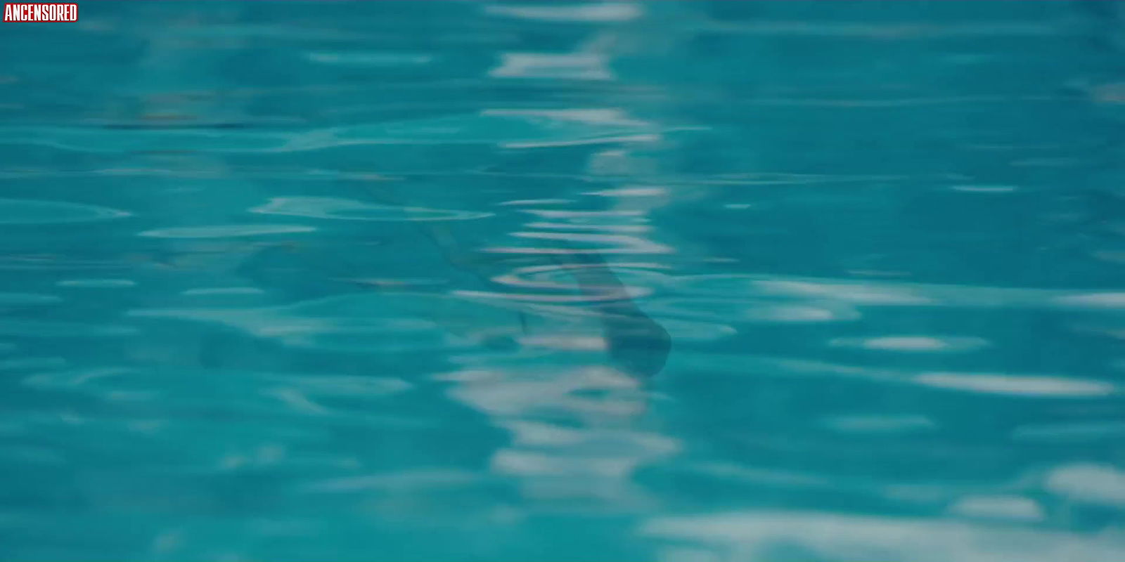 Elena Anaya – jett