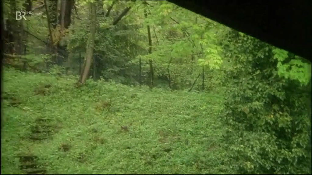 Elfi Eschke – Sch4