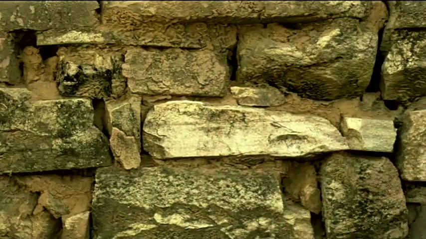 eliane narducci – Cabaret Mineiro