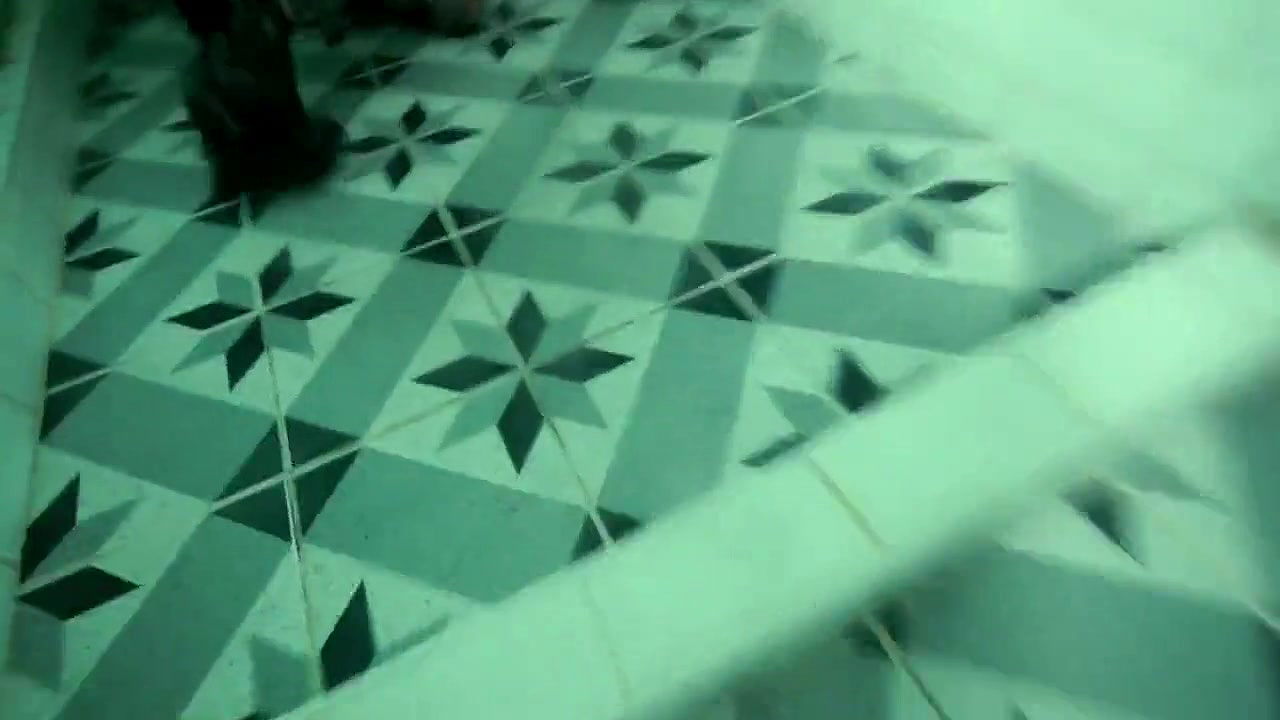 elif dag – goosefleshbronze