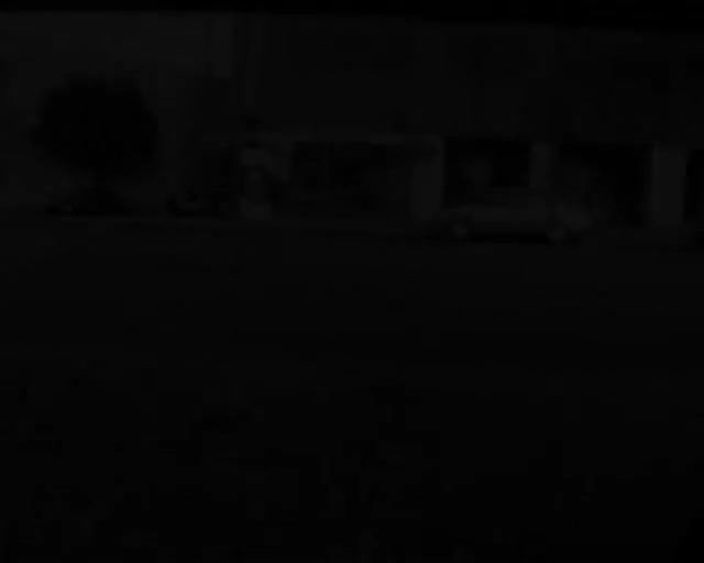 elif dag – the date