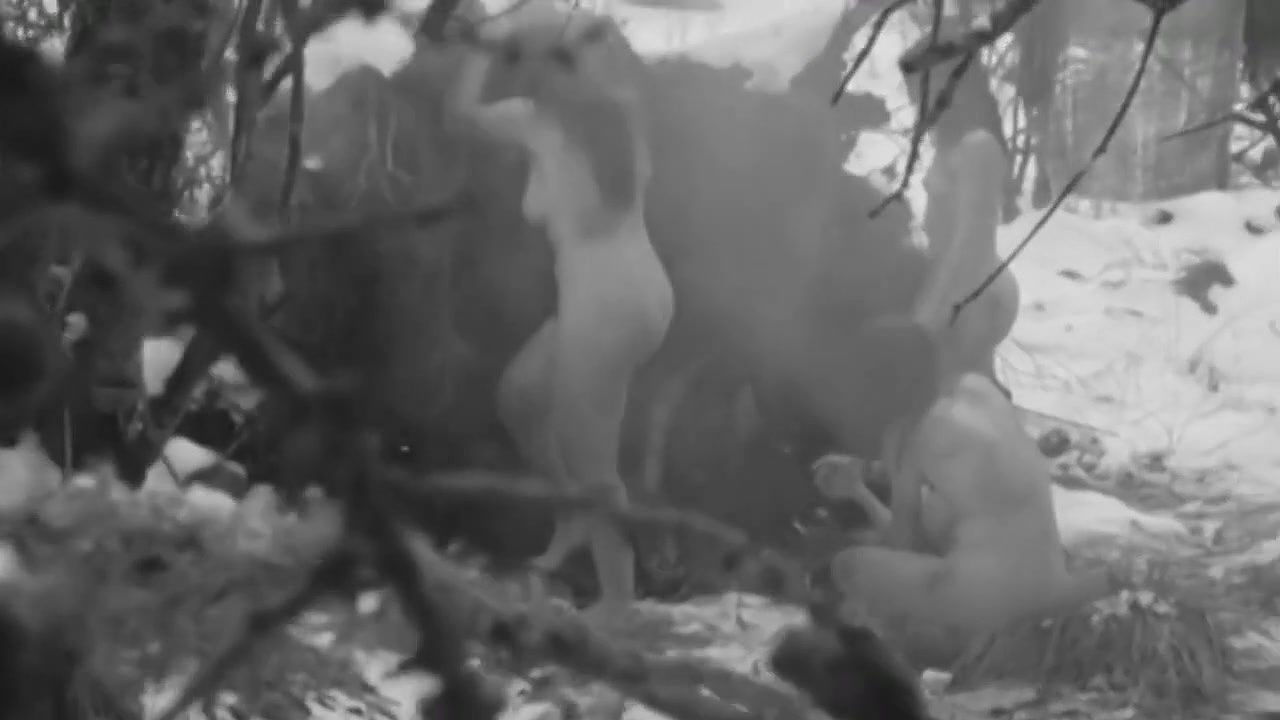 Elina L – boro in the box