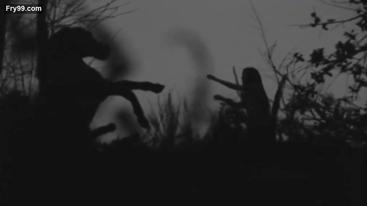 Elina L – boro in the box