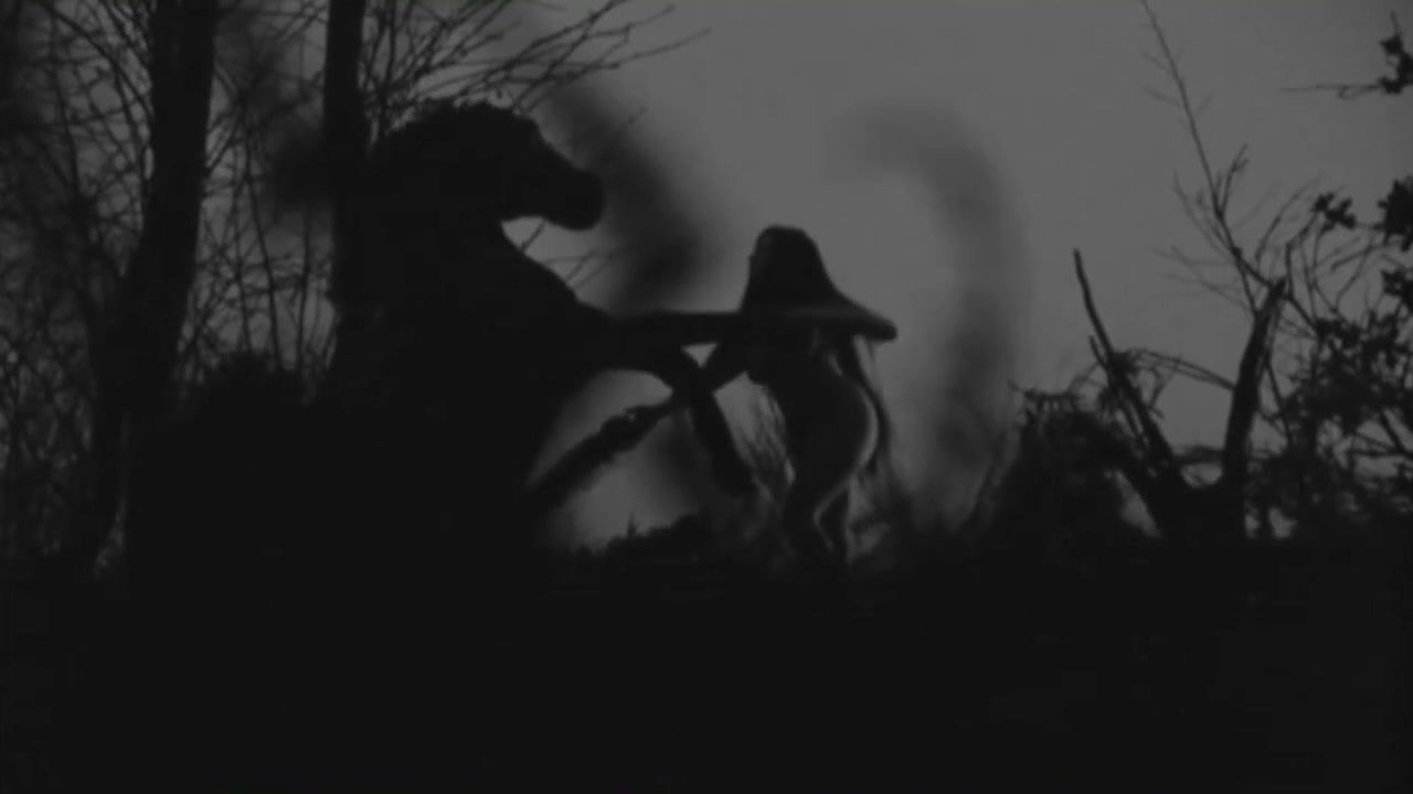 Elina L – boro in the box