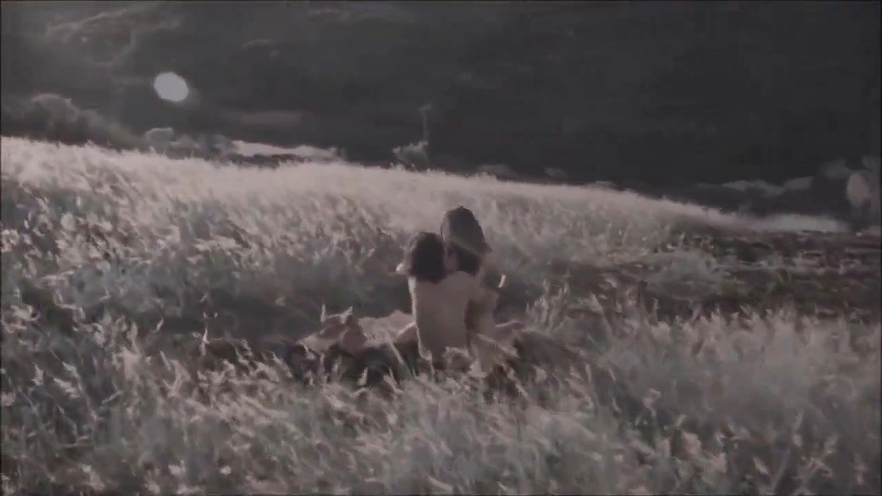 elisa brites – animal iii