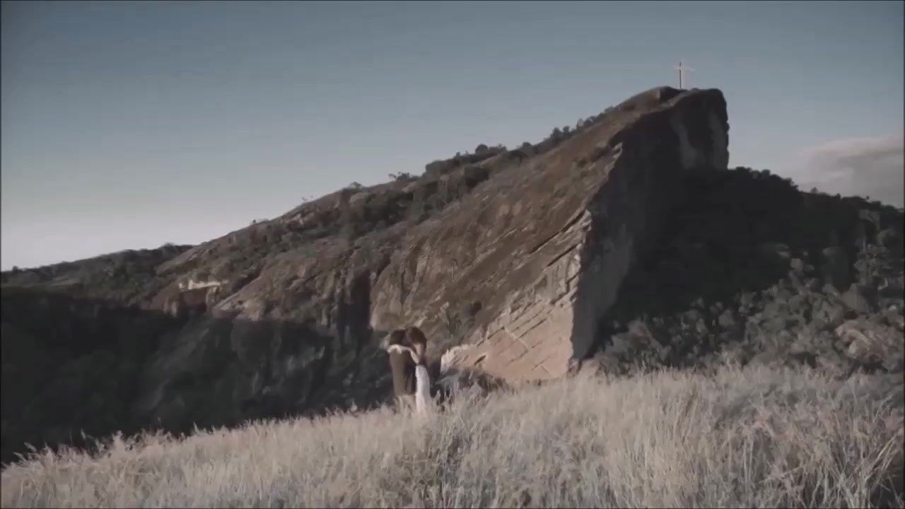 elisa brites – animal iii