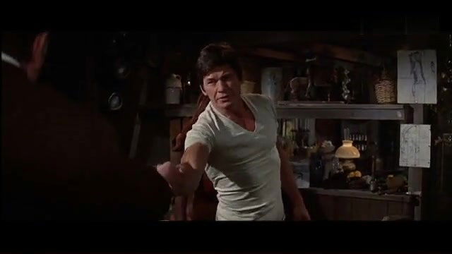 Elizabeth Taylor – The Sandpiper