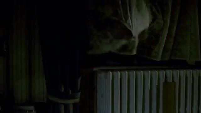 Elke Sommer – Die Reise nach Wien