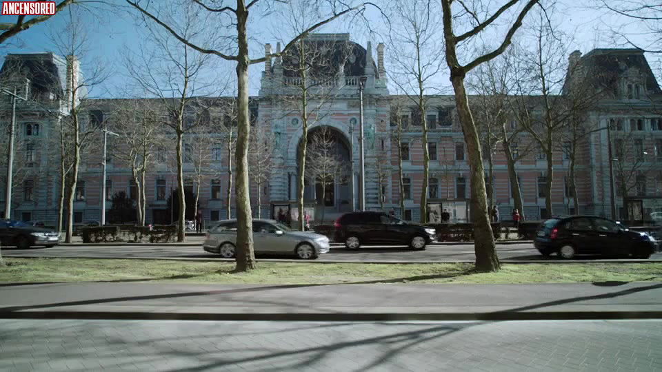 Ella Leyers – professor t 2