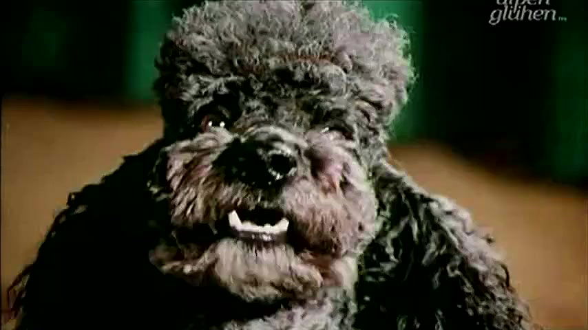 Elvira Jentgens – Hausfrauen Report 6