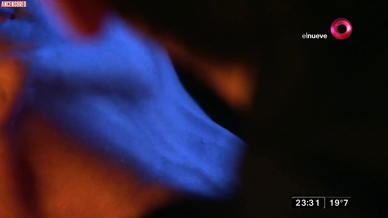 Emilia Attias – contrasangre