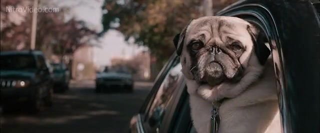 Emily Blunt – Arthur Newman