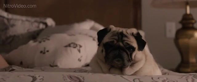 Emily Blunt – Arthur Newman