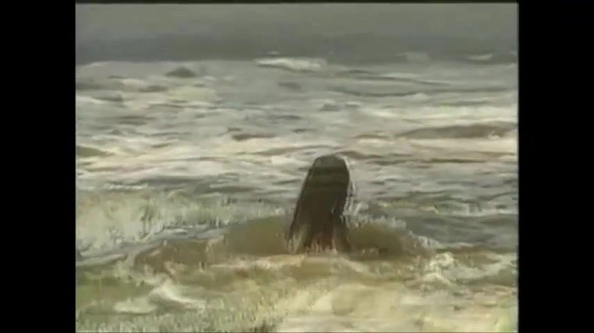 Emily Shakarji – Tereza Batista