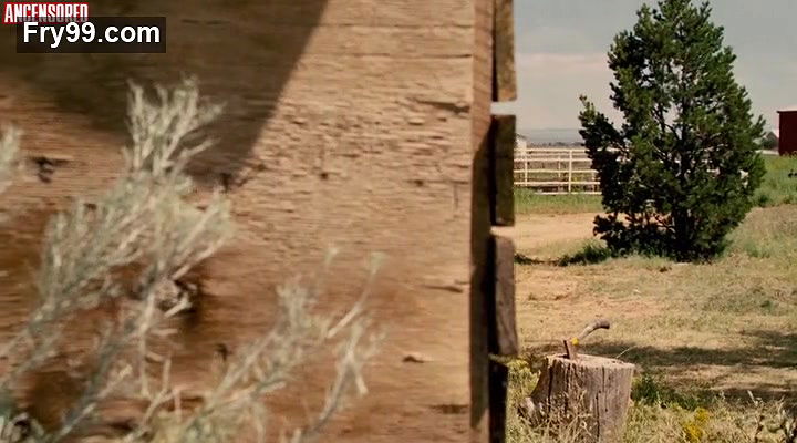 Emily VanCamp – Carriers