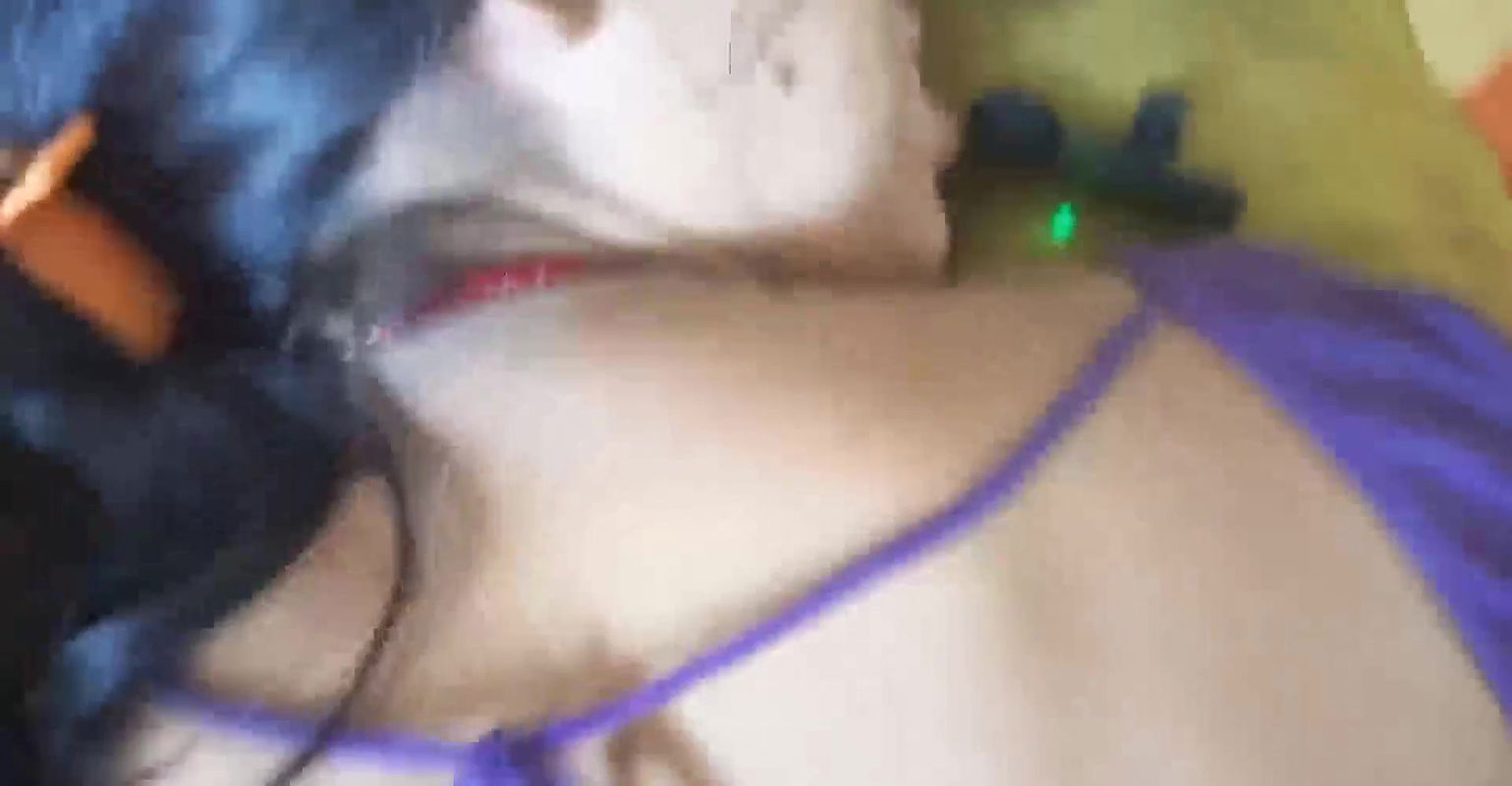 Deshi hot sexy bhabhi anal sex saree