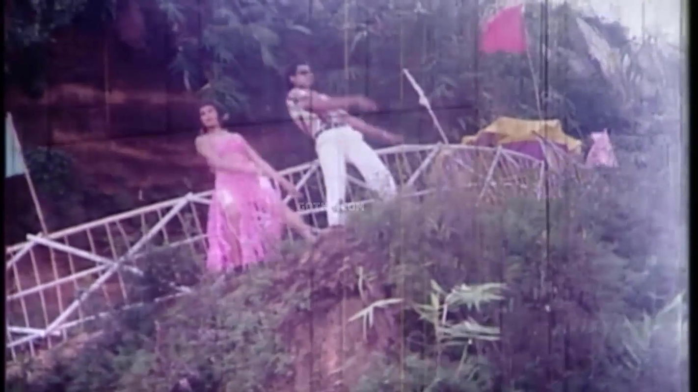 fule vora bichanate by pinu and sanu  30fps