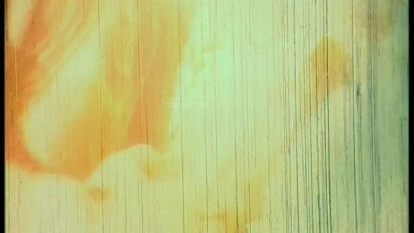 Only Poly Scene of Fire Last Moment