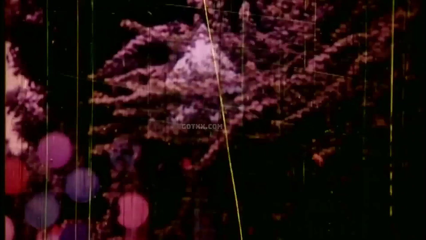 pasher barir meyeta noy by pinu and dana