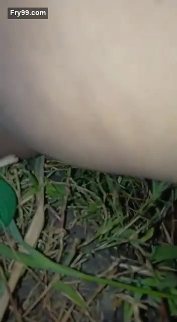 Village girl jungle mms