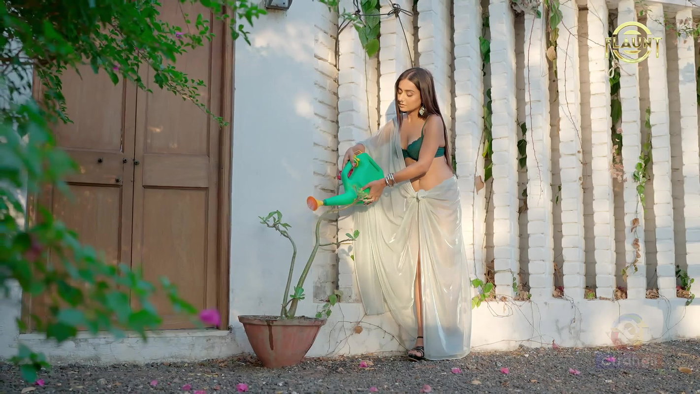 Stellar Priyanka – Saree