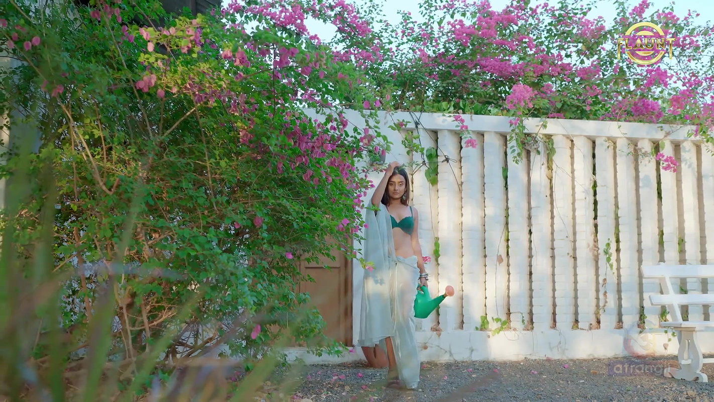 Stellar Priyanka – Saree