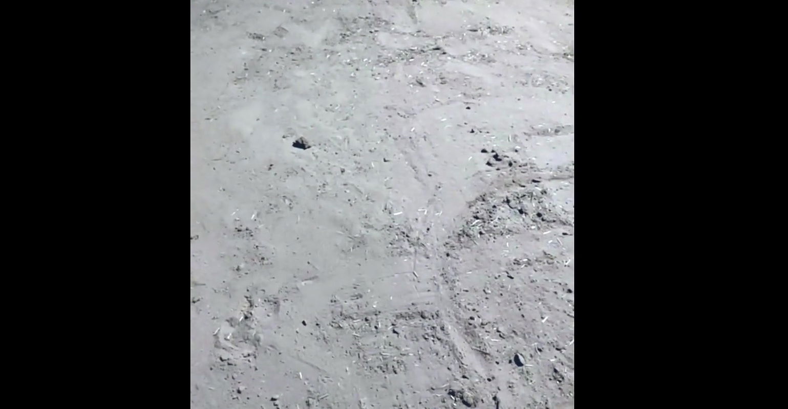 Nude desi housewife working in her farm