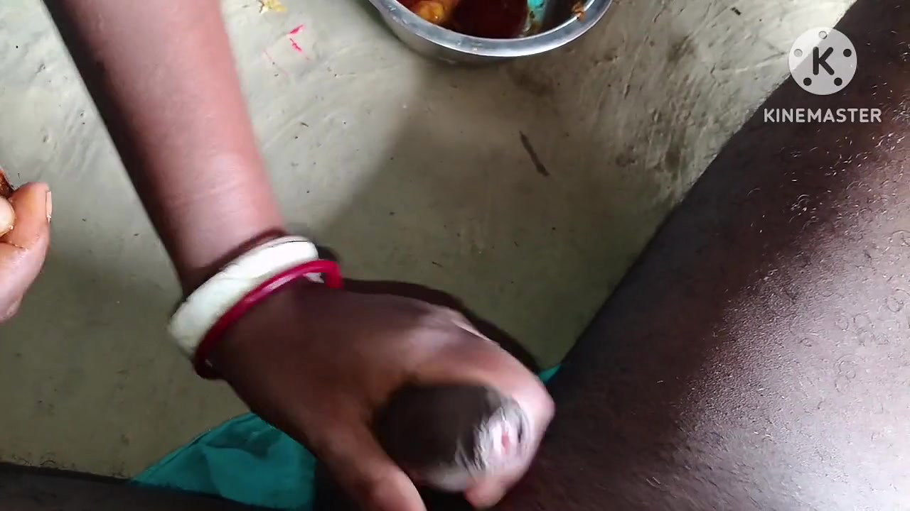 Desi Bhabhi Sucked the Penis and Fucked
