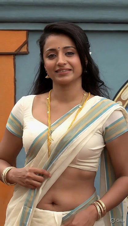 Trisha adjusting saree wantedly to reveal and tempt 224