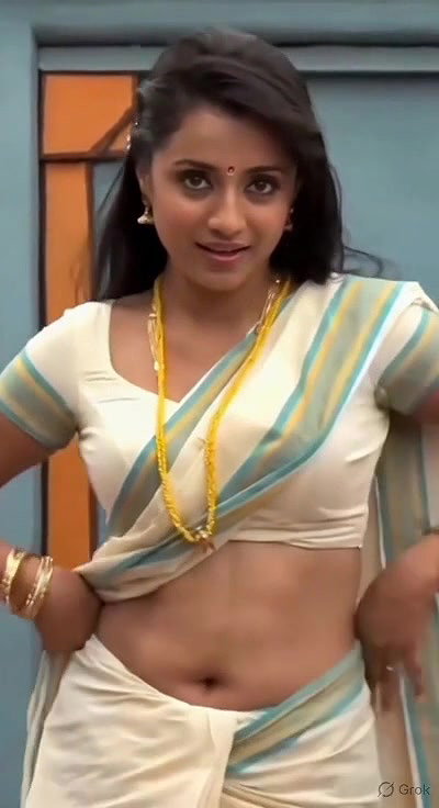 Trisha adjusting saree wantedly to reveal and tempt 249