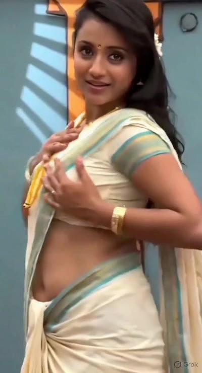 Trisha adjusting saree wantedly to reveal and tempt 249