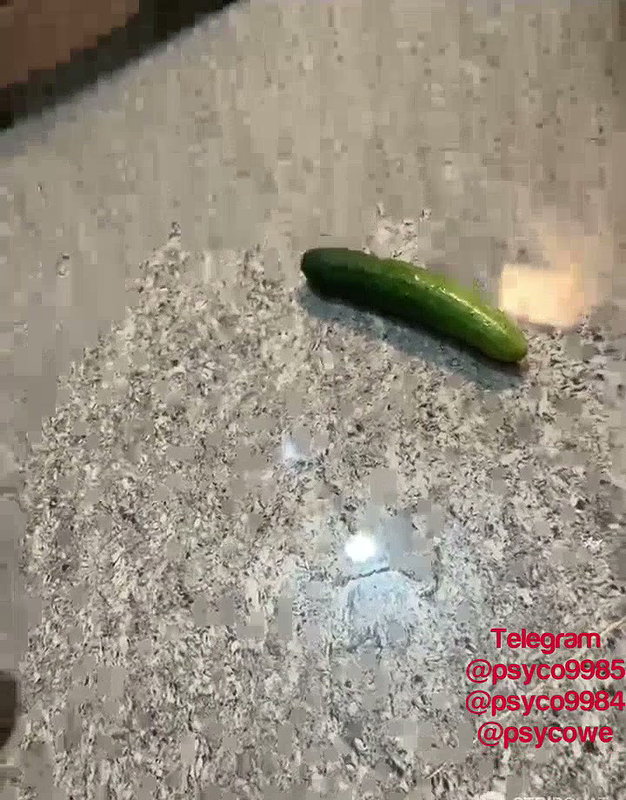 Neha18 17 Ticket show cacumber pussy fucking