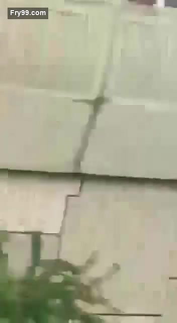 Desi lover  Outdoor fun