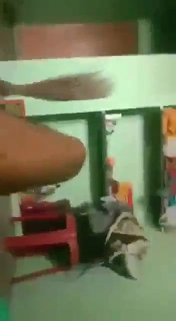 Beautiful bhabhi giving handjob