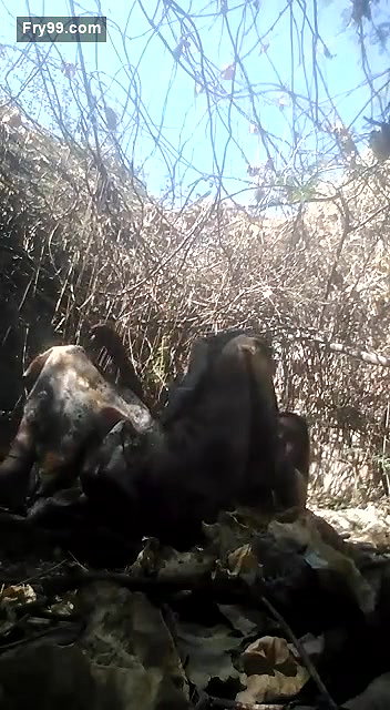 Village Randi Blowjob And Fucked