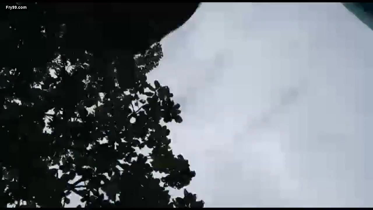 In jungle hairy pussy
