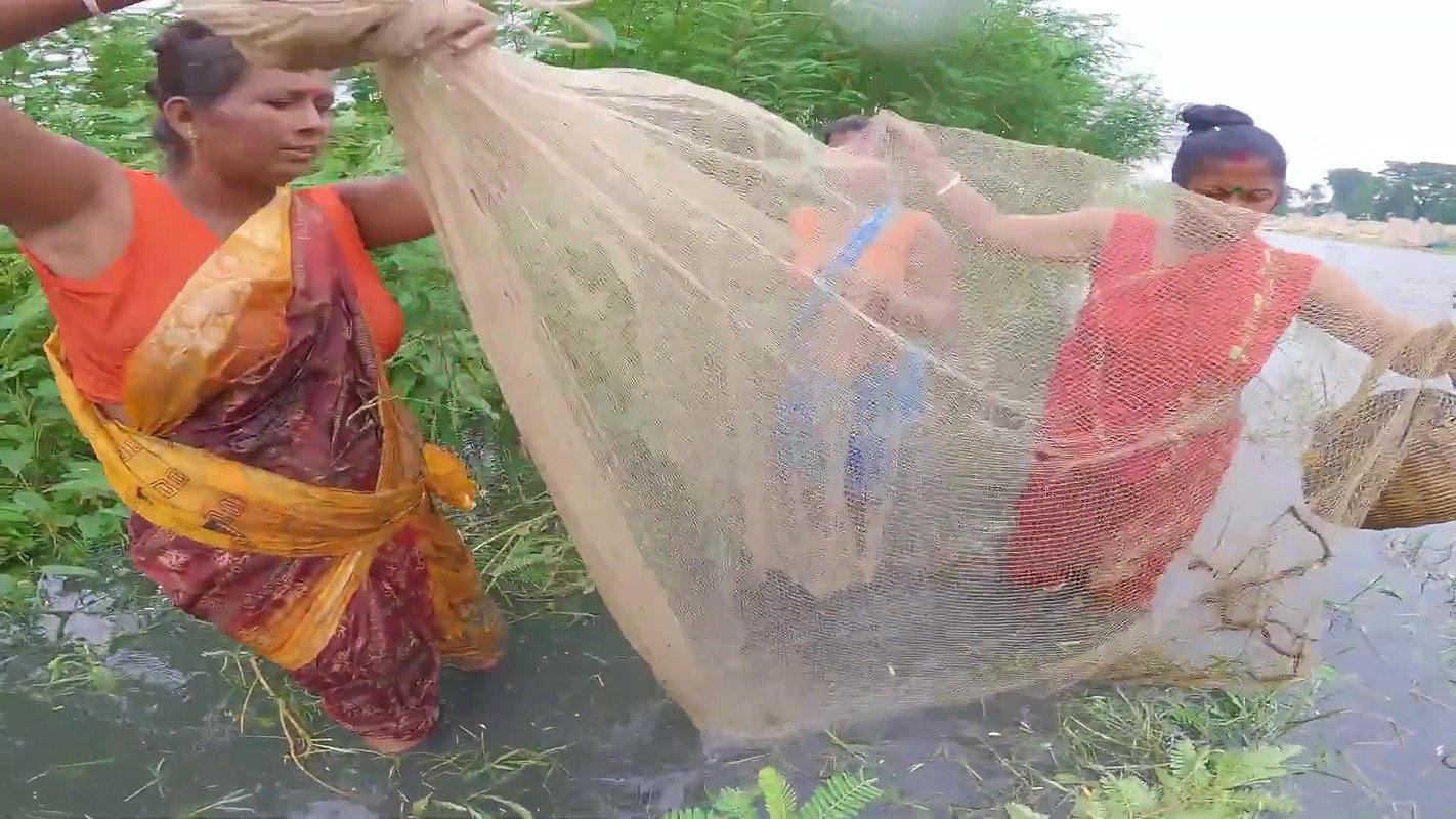 Village Womens Traditional Net Fishing on River