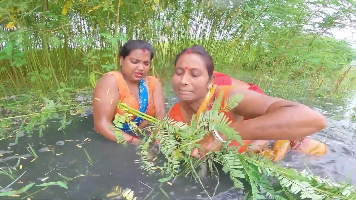 Village Womens Traditional Net Fishing on River