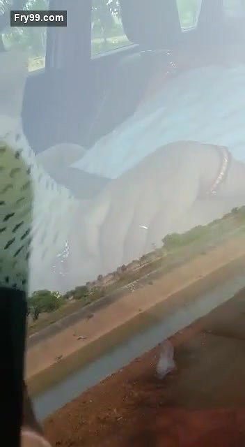 Desi Cpl Fucking