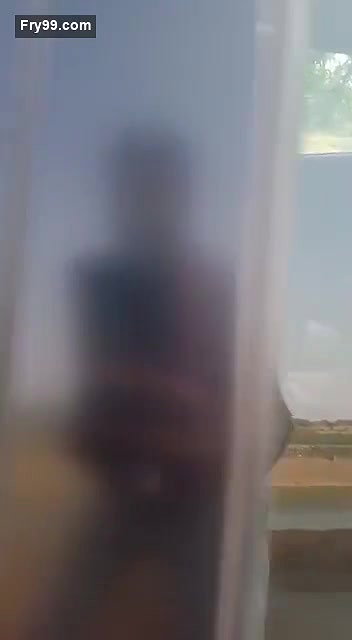Desi Cpl Fucking