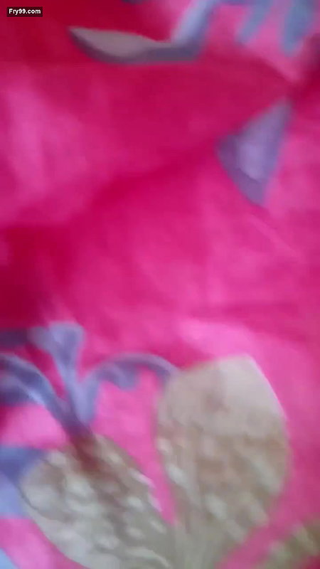 desi cute collage girl nice pussy