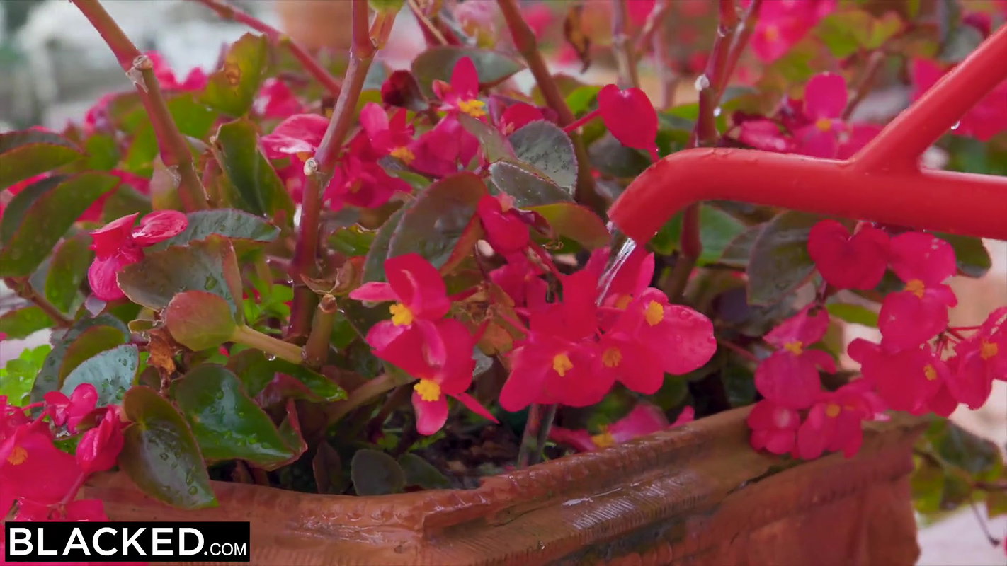 BLACKED Sexy Purple Bitch gives guest the 5-star treatment