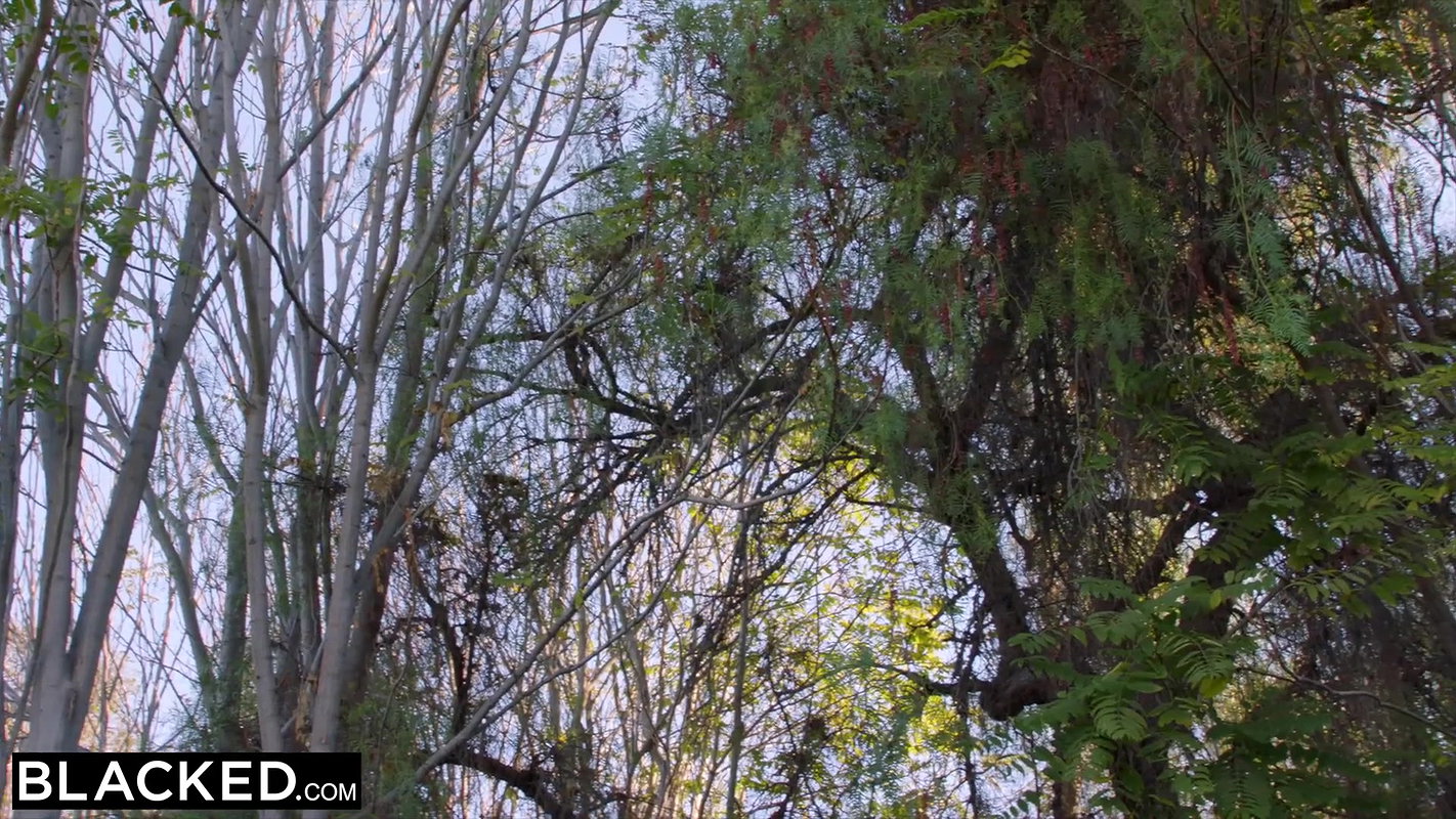 BLACKED This white chick just hangs out at the court waiting for BBC