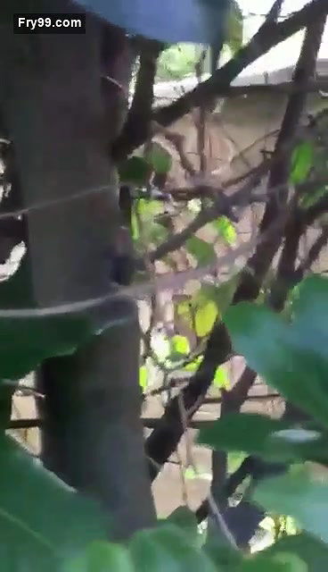 Collage lover  Park sex