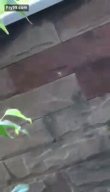 Collage lover  Park sex