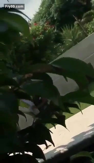 Collage lover  Park sex