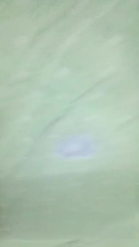 papia bengali tango show