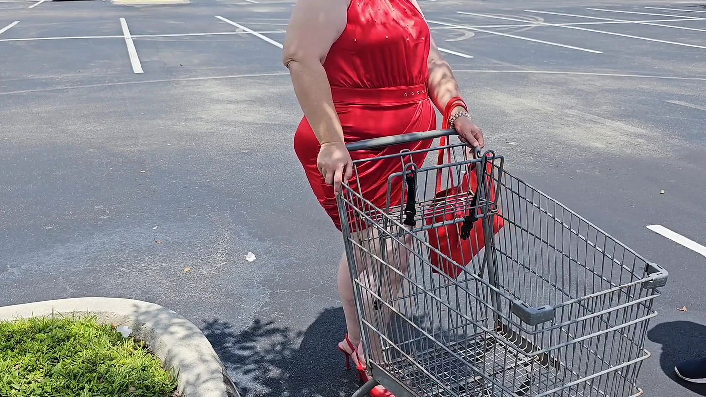 I let a stranger , who said he was from a modeling agency see my pussy and he got very hungry for it